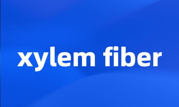 xylem fiber