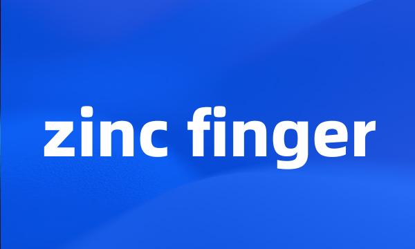 zinc finger