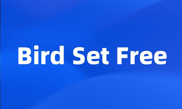 Bird Set Free