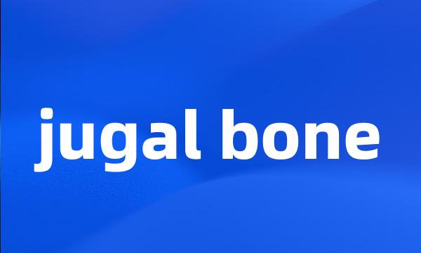 jugal bone