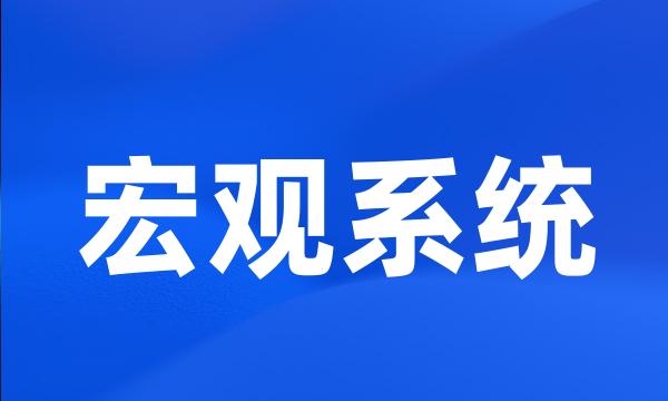 宏观系统