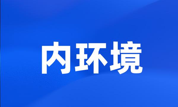 内环境