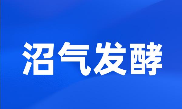 沼气发酵