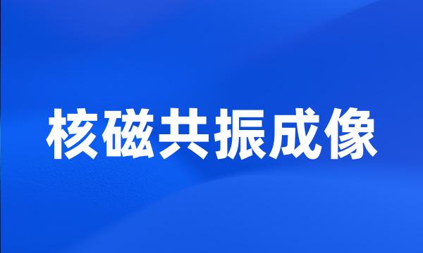 核磁共振成像