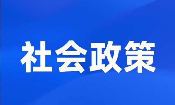 社会政策