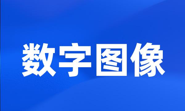 数字图像