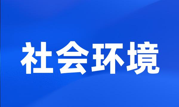 社会环境