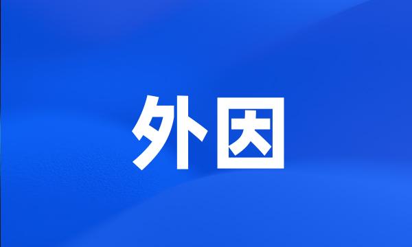 外因