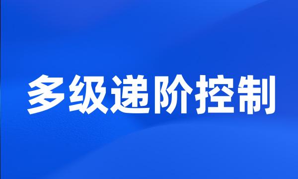 多级递阶控制