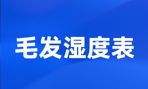 毛发湿度表