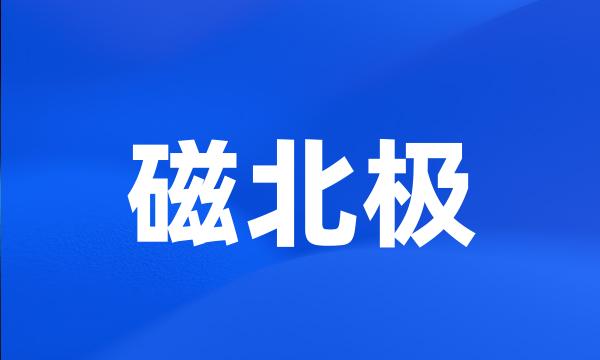 磁北极