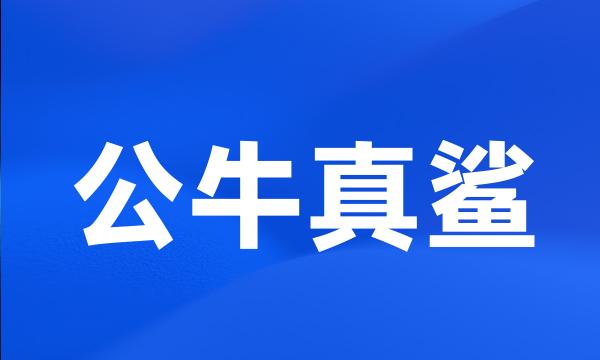 公牛真鲨