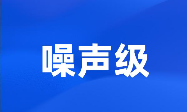 噪声级