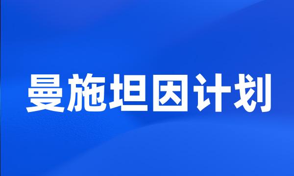 曼施坦因计划