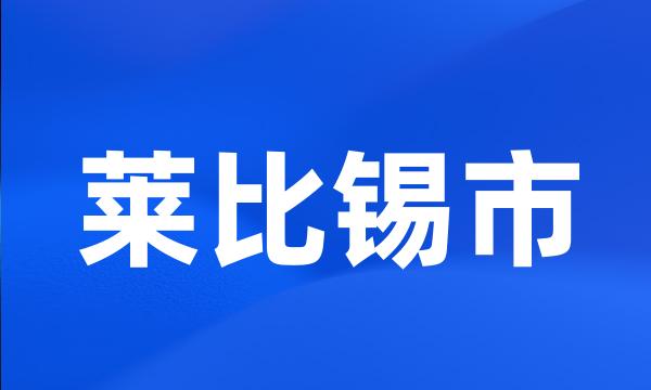 莱比锡市