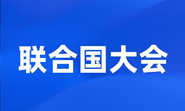 联合国大会