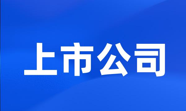 上市公司