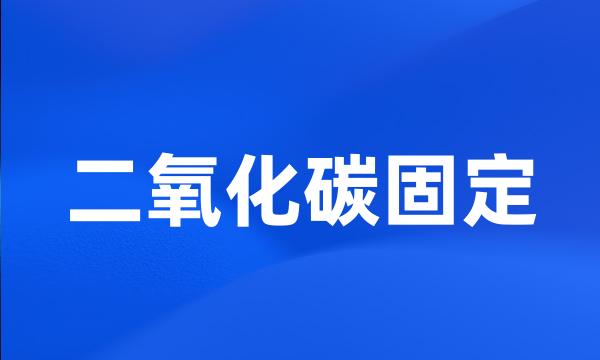 二氧化碳固定