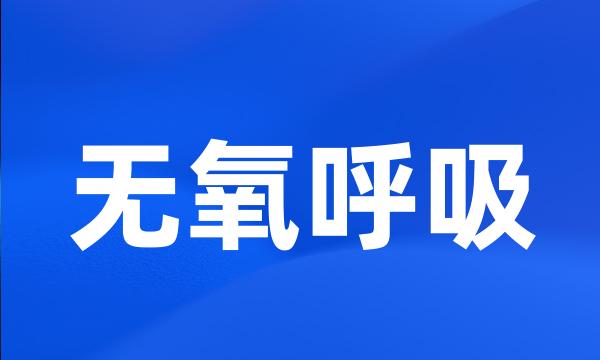 无氧呼吸