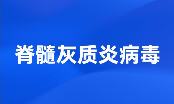 脊髓灰质炎病毒