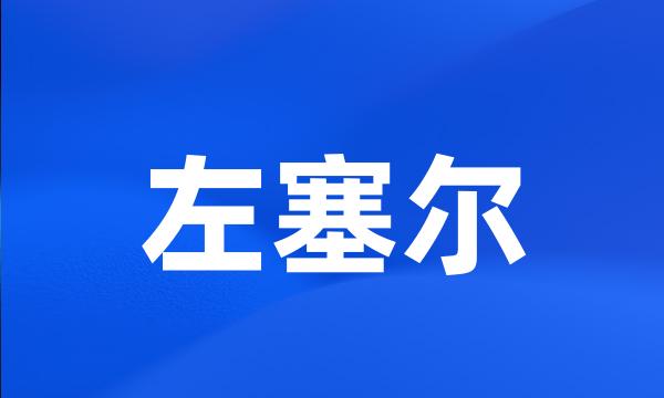 左塞尔