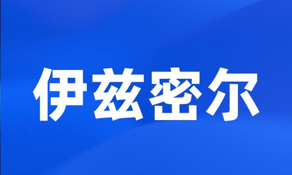 伊兹密尔