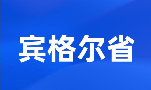 宾格尔省