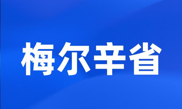 梅尔辛省