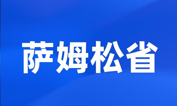 萨姆松省