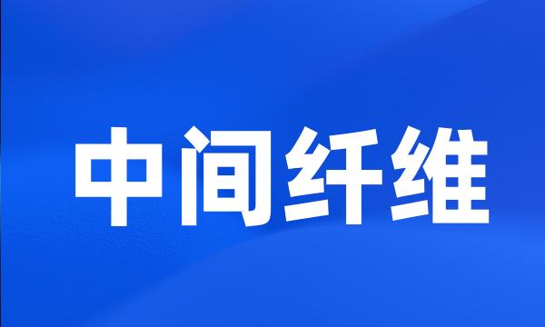 中间纤维