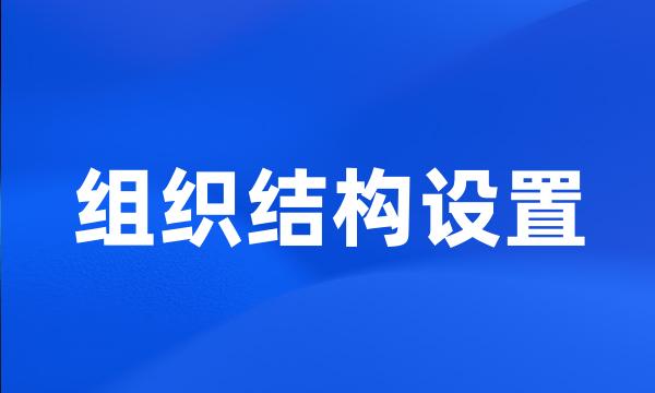 组织结构设置