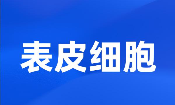 表皮细胞