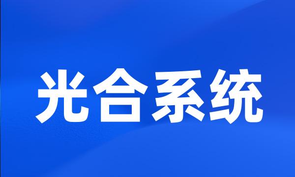 光合系统