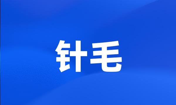 针毛