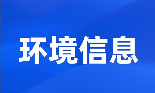 环境信息