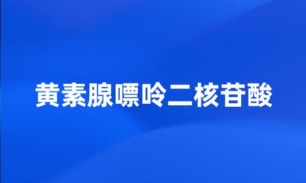 黄素腺嘌呤二核苷酸