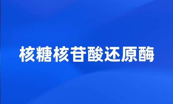 核糖核苷酸还原酶