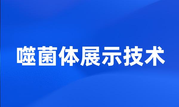 噬菌体展示技术