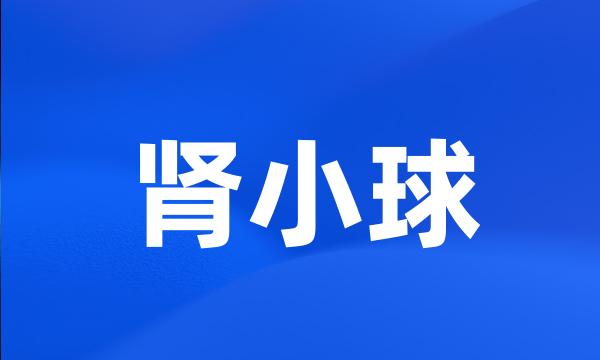 肾小球