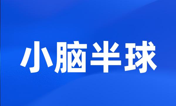 小脑半球