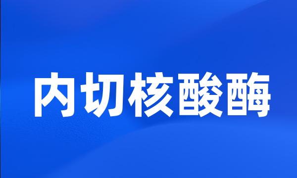 内切核酸酶