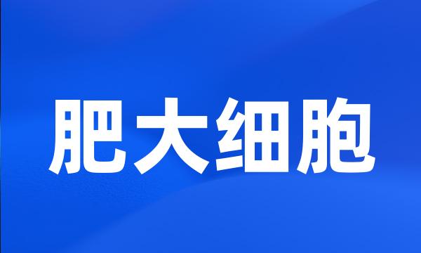 肥大细胞