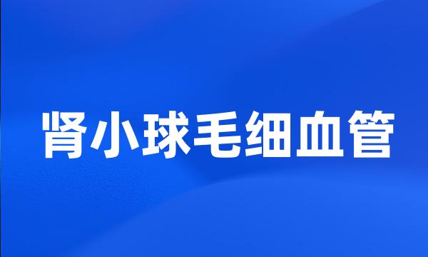 肾小球毛细血管