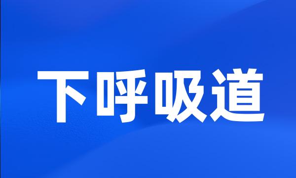 下呼吸道