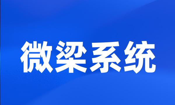 微梁系统