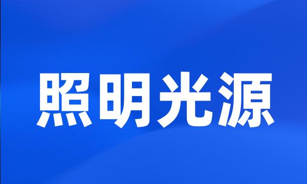 照明光源