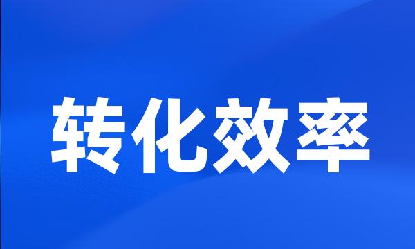 转化效率