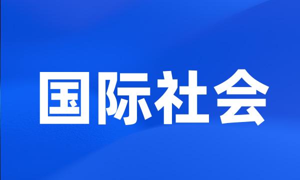 国际社会