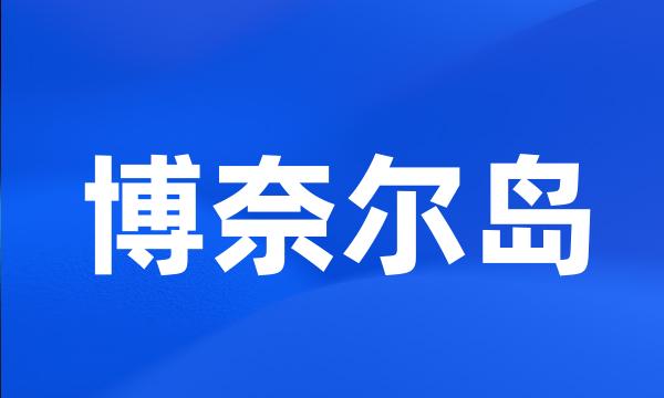 博奈尔岛