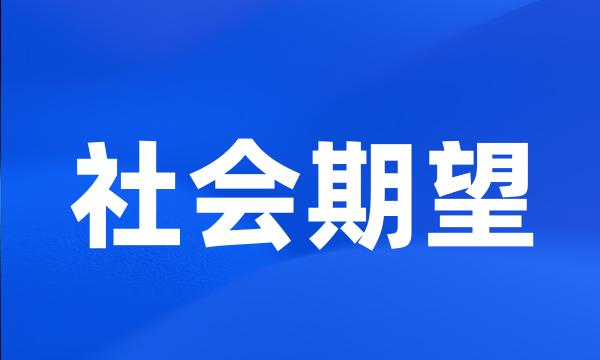 社会期望